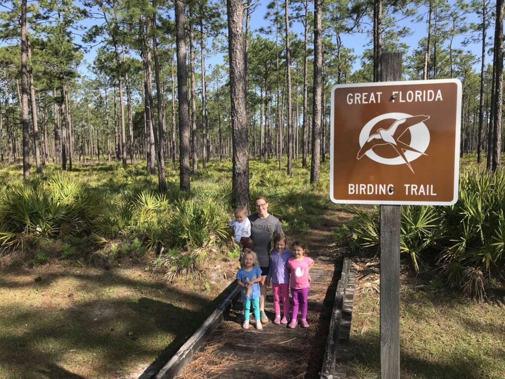 Osceola National Forest