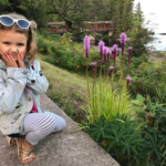 LOGUE CABIN: A Travelogue: Rogers Family Vacation to Magical Minnesota